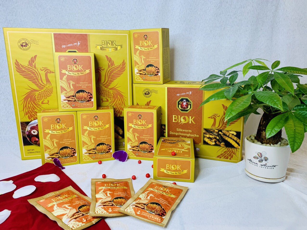 Nước Đông Trùng Hạ Thảo BIOK (Hộp 10 chai)